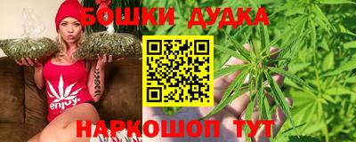 гидра Аргун