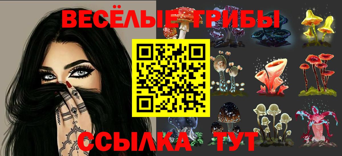 Псилоцибиновые грибы Magic Shrooms  Галлюциногенные грибы Cubensis  Апрелевка  Вход с VPN 